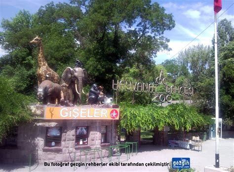 Ankara gölbaşı hayvanat bahçesi